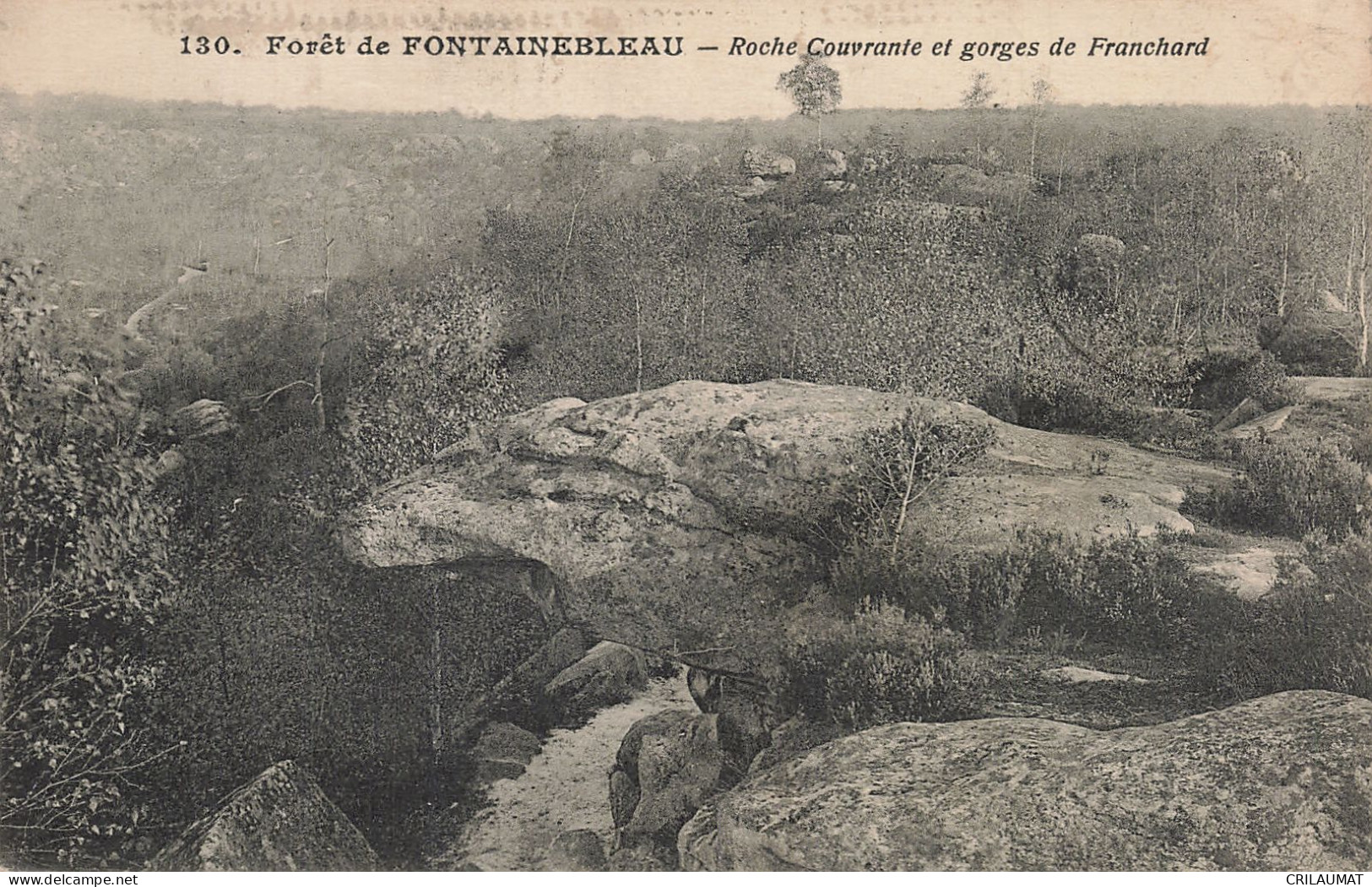 77-FONTAINEBLEAU LA FORET ROCHE COUVRANTE-N°T5313-G/0213 - Fontainebleau