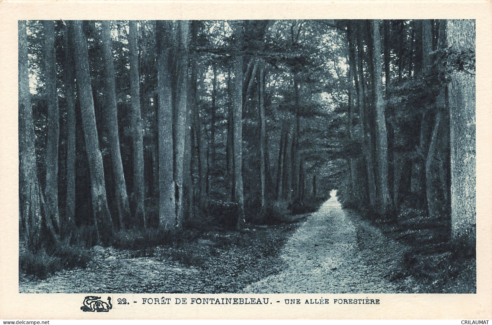 77-FONTAINEBLEAU LA FORET-N°T5313-G/0193 - Fontainebleau