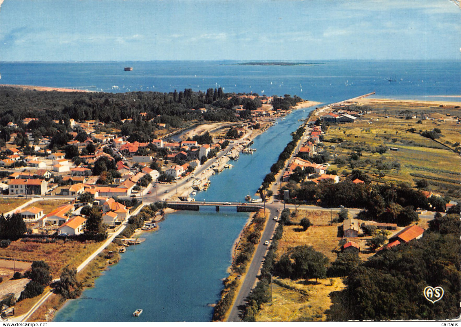 17-ILE D OLERON-N 597-C/0165 - Ile D'Oléron