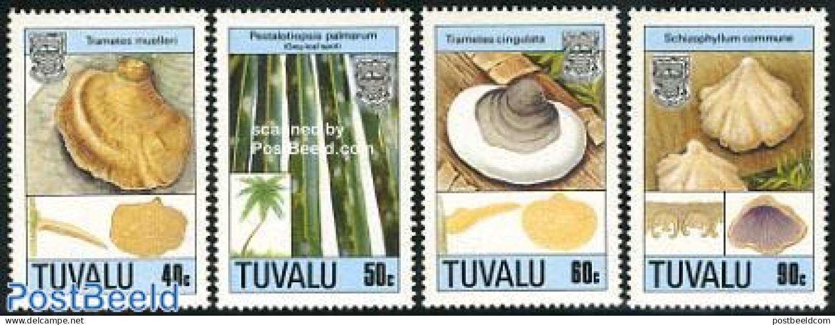 Tuvalu 1989 Mushrooms 4v, Mint NH, Nature - Mushrooms - Pilze