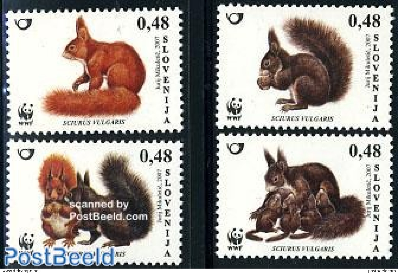 Slovenia 2007 WWF, Squirrel 4v, Mint NH, Nature - Animals (others & Mixed) - World Wildlife Fund (WWF) - Slovenia