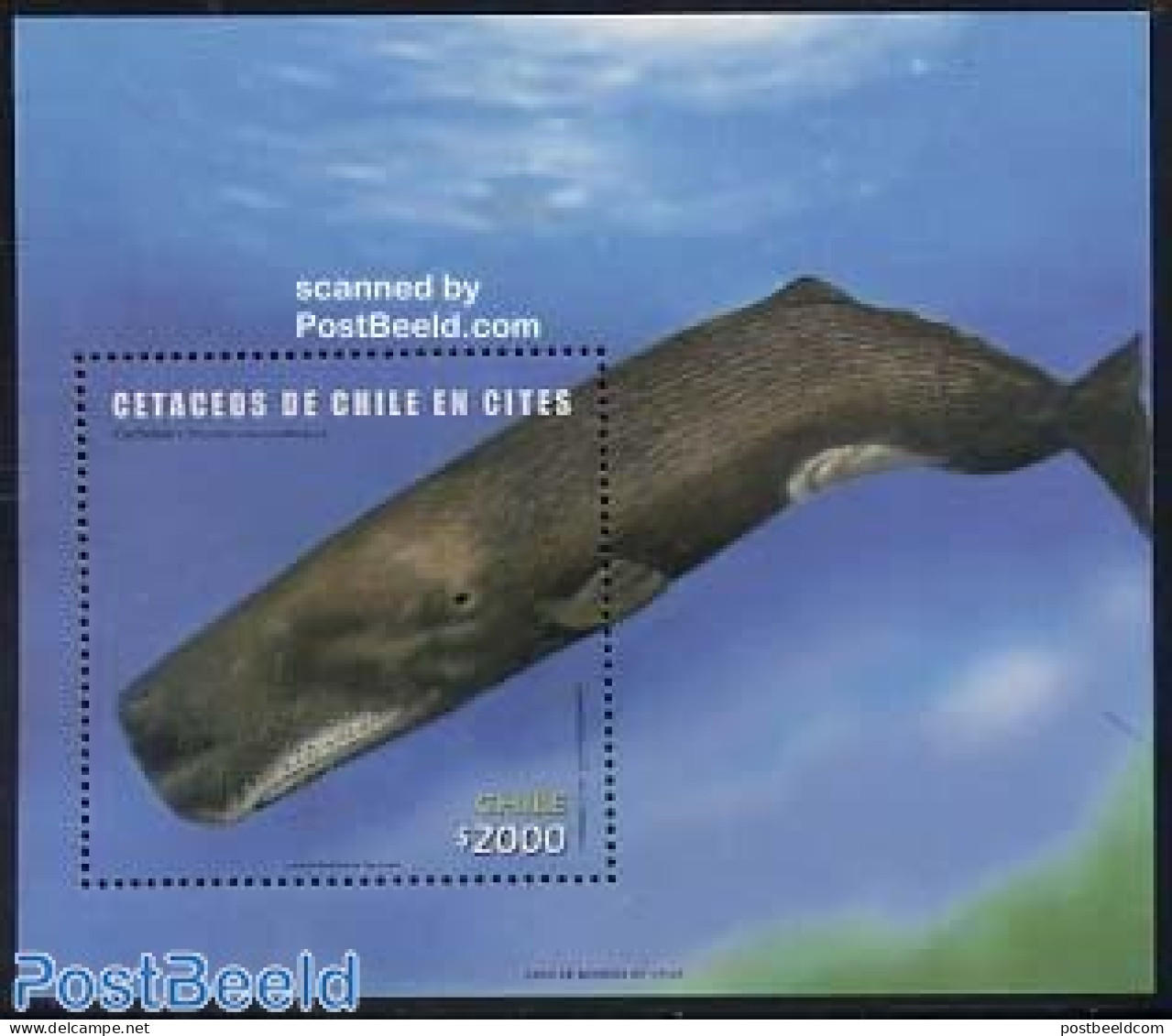 Chile 2002 Whales S/s, Mint NH, Nature - Sea Mammals - Chili