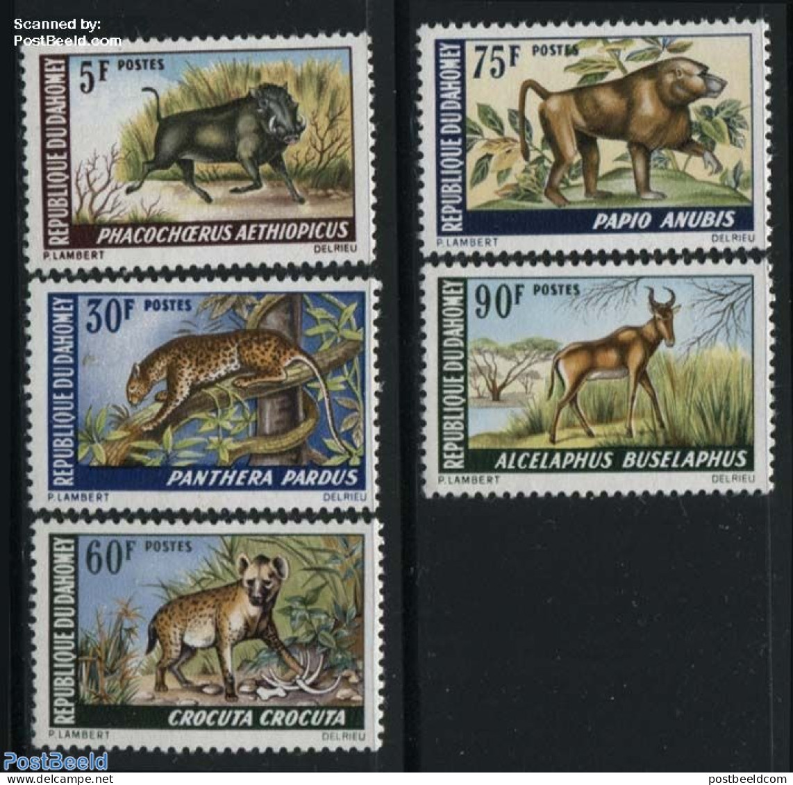 Dahomey 1969 Animals 5v, Mint NH, Nature - Animals (others & Mixed) - Cat Family - Monkeys - Other & Unclassified