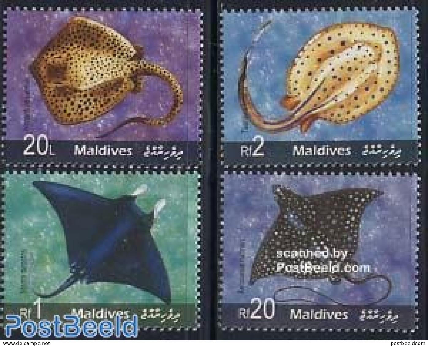 Maldives 2006 Rays 4v, Mint NH, Nature - Fish - Poissons