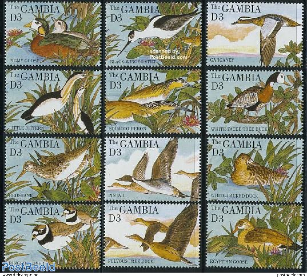 Gambia 1995 Waterbirds 12v, Mint NH, Nature - Birds - Ducks - Gambie (...-1964)