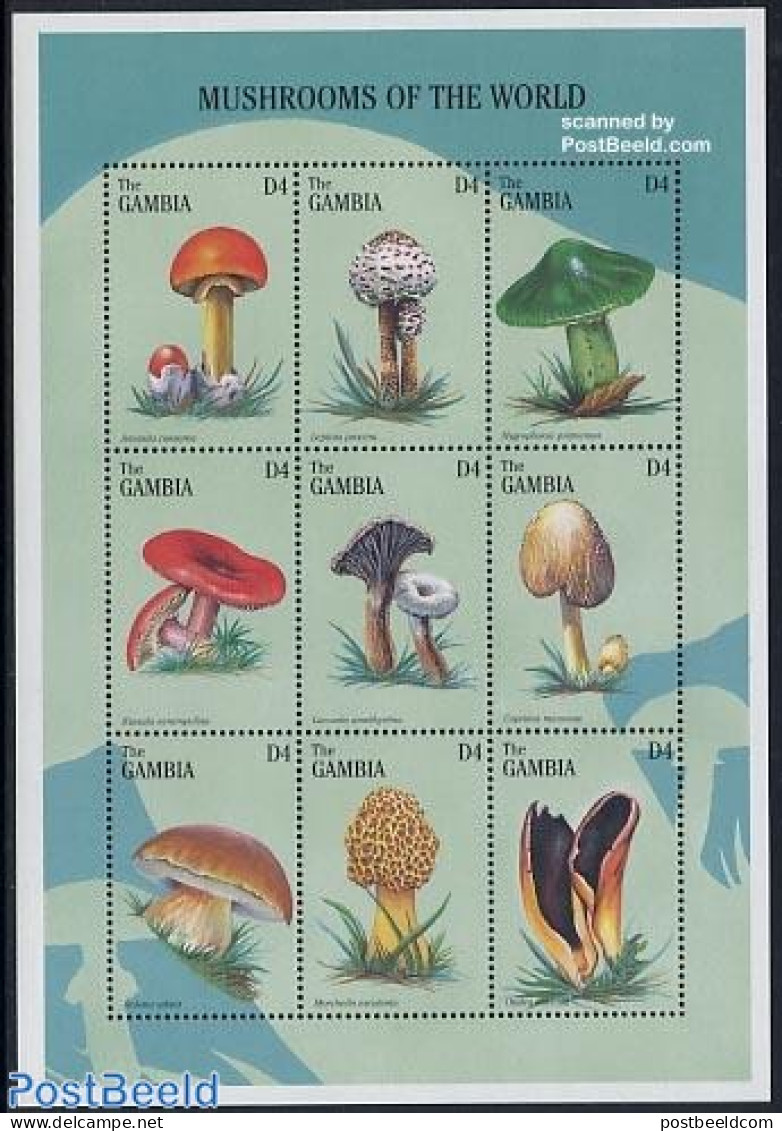 Gambia 1997 Mushrooms 9v M/s, Mint NH, Nature - Mushrooms - Pilze