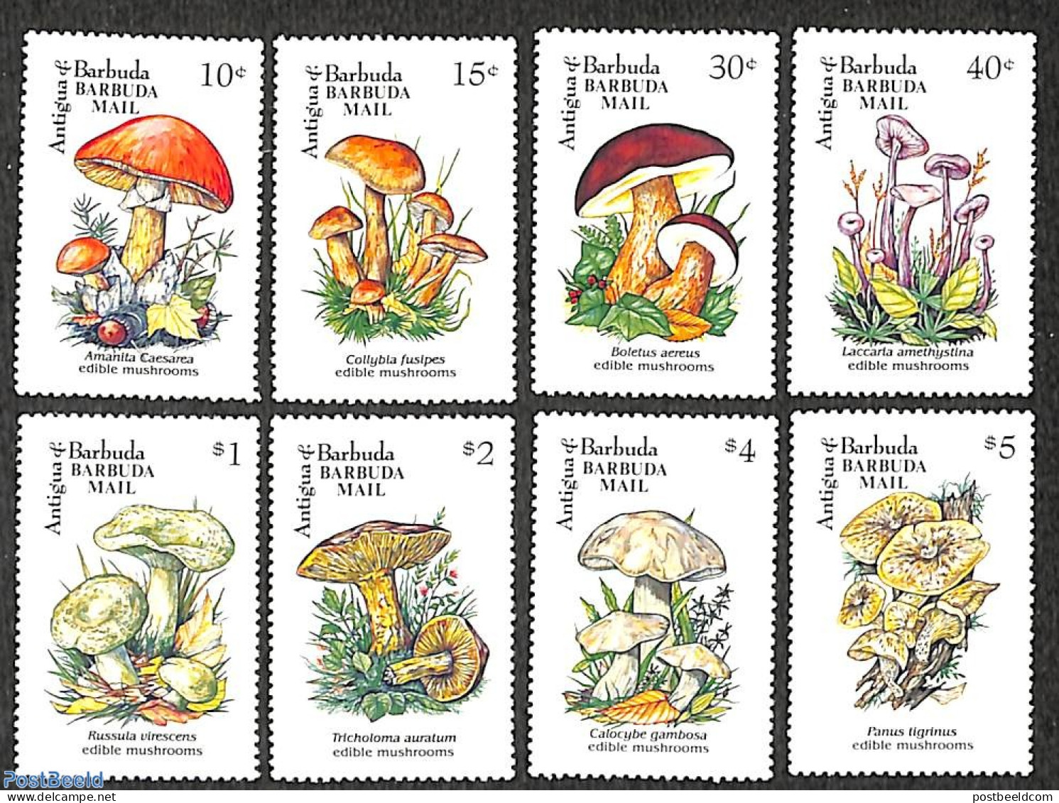 Barbuda 1993 Mushrooms 8v, Mint NH, Nature - Mushrooms - Mushrooms