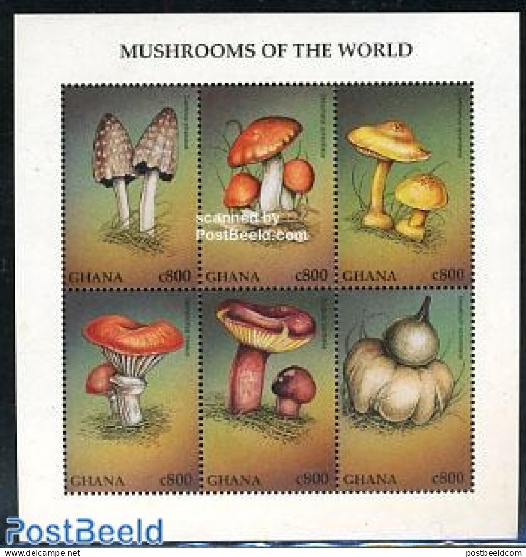 Ghana 1997 Mushrooms 6v M/s, Mint NH, Nature - Mushrooms - Pilze