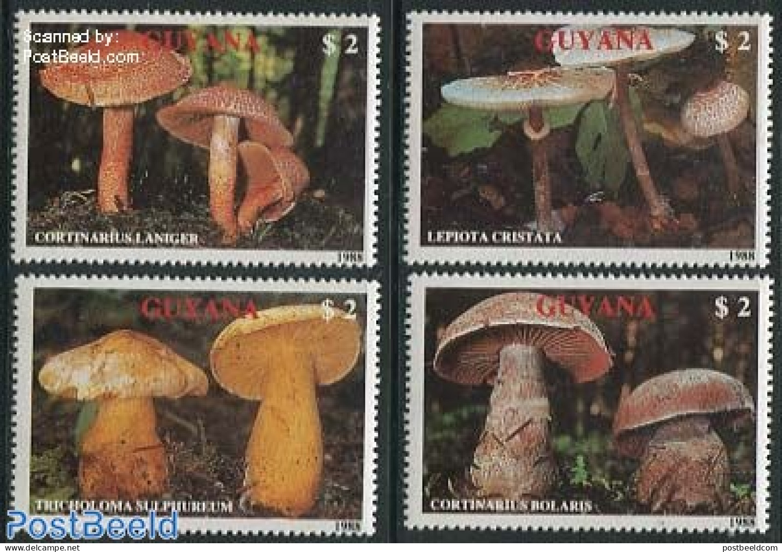 Guyana 1989 Mushrooms 4v, Mint NH, Nature - Mushrooms - Paddestoelen