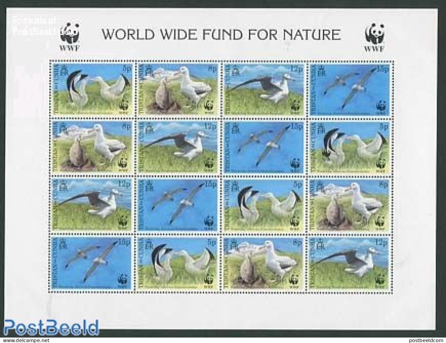 Tristan Da Cunha 1999 WWF, Albatros, Mint NH, Nature - Birds - World Wildlife Fund (WWF) - Tristan Da Cunha