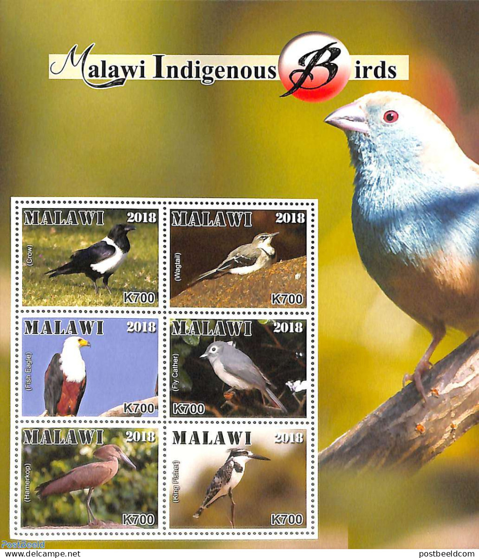 Malawi 2018 Indigenous Birds 6v M/s, Mint NH, Nature - Birds - Birds Of Prey - Kingfishers - Malawi (1964-...)