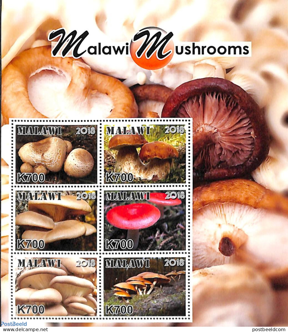Malawi 2018 Mushrooms 6v M/s, Mint NH, Nature - Mushrooms - Champignons