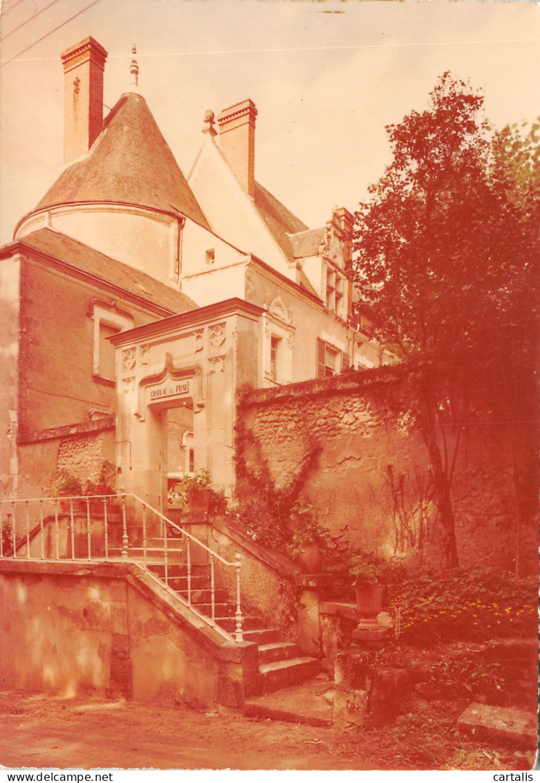 37-AMBOISE-HOTEL CHÂTEAU DE PRAY-N 600-A/0031 - Amboise