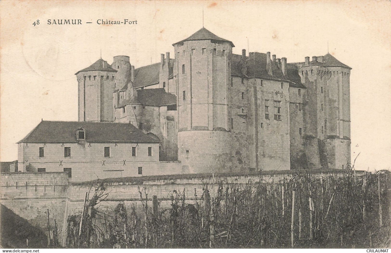 49-SAUMUR-N°T5315-D/0271 - Saumur