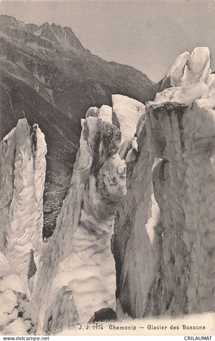 74-CHAMONIX-N°T5315-C/0135 - Chamonix-Mont-Blanc