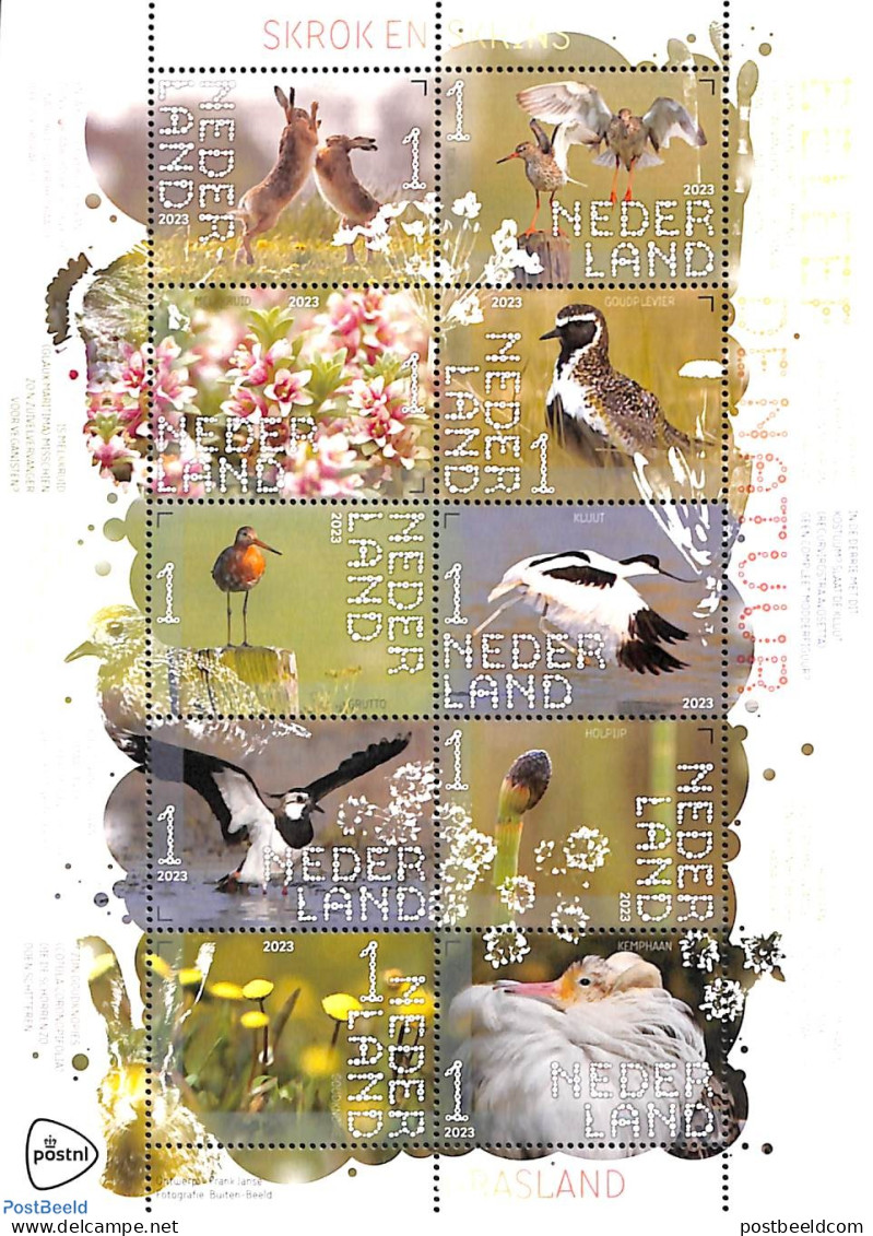 Netherlands 2023 Skrok En Skrins 10v M/s, Mint NH, Nature - Birds - Flowers & Plants - Rabbits / Hares - Neufs