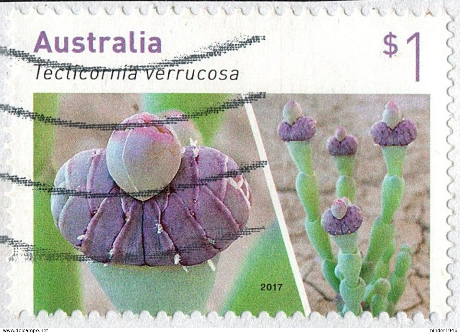 AUSTRALIA 2017 $1 Multicoloured, Australian Succulents-Tecticornia Verrucosa Self Adhesive SG4750 Used - Gebraucht