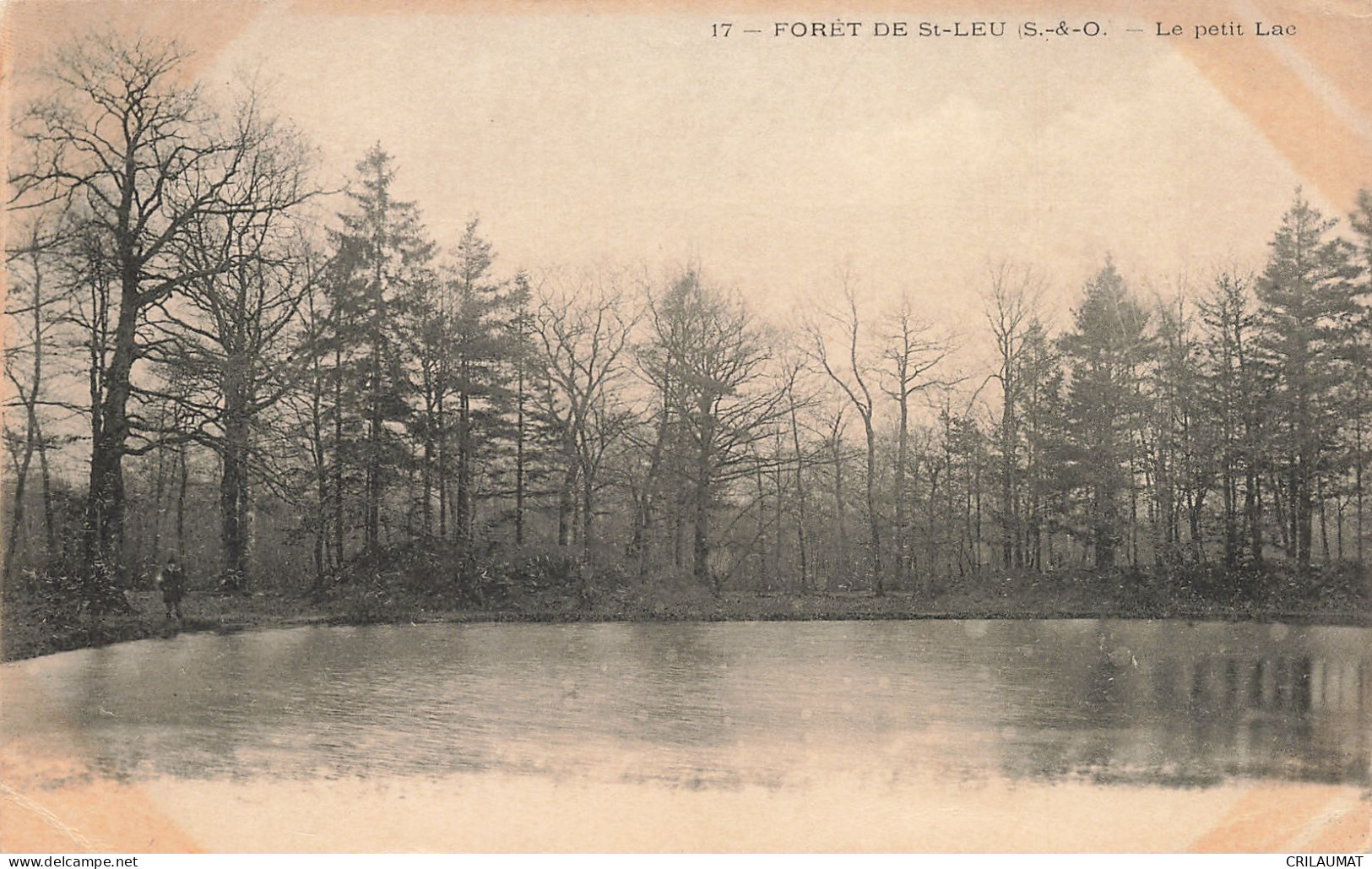 95-SAINT LEU-N°T5315-G/0185 - Saint Leu La Foret