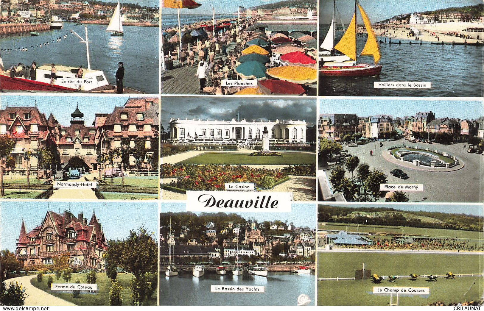 14-DEAUVILLE-N°T5315-G/0137 - Deauville