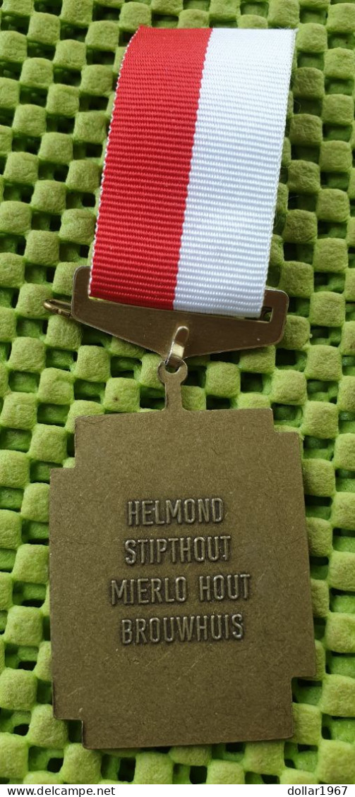 Medaile   : Avondvierdaagse 1991 Helmond , Ut Speulheuske -  Original Foto  !!  Medallion  Dutch . - Autres & Non Classés