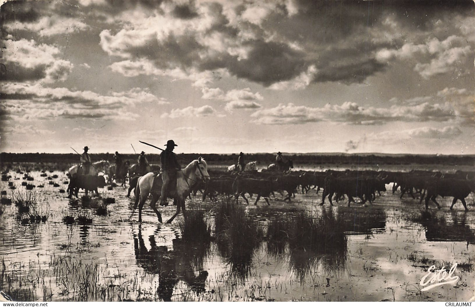 30-LA CAMARGUE-N°T5315-F/0305 - Sonstige & Ohne Zuordnung