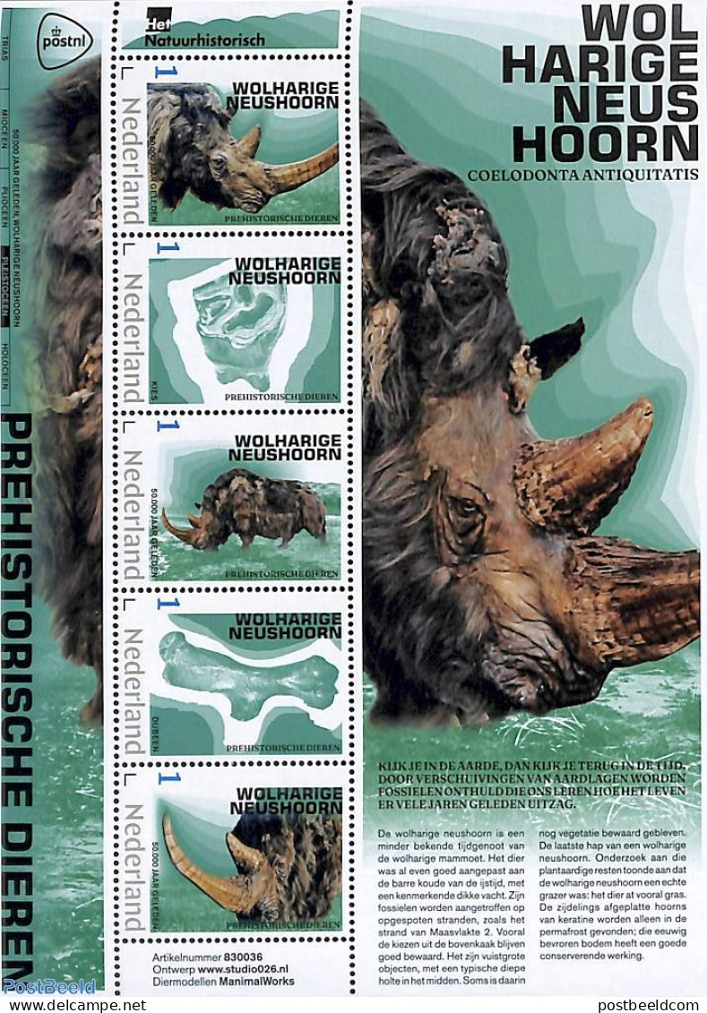 Netherlands - Personal Stamps TNT/PNL 2023 Preh. Animals 5v M/s, Wolharige Neushoorn, Mint NH, Nature - Prehistoric An.. - Vor- U. Frühgeschichte