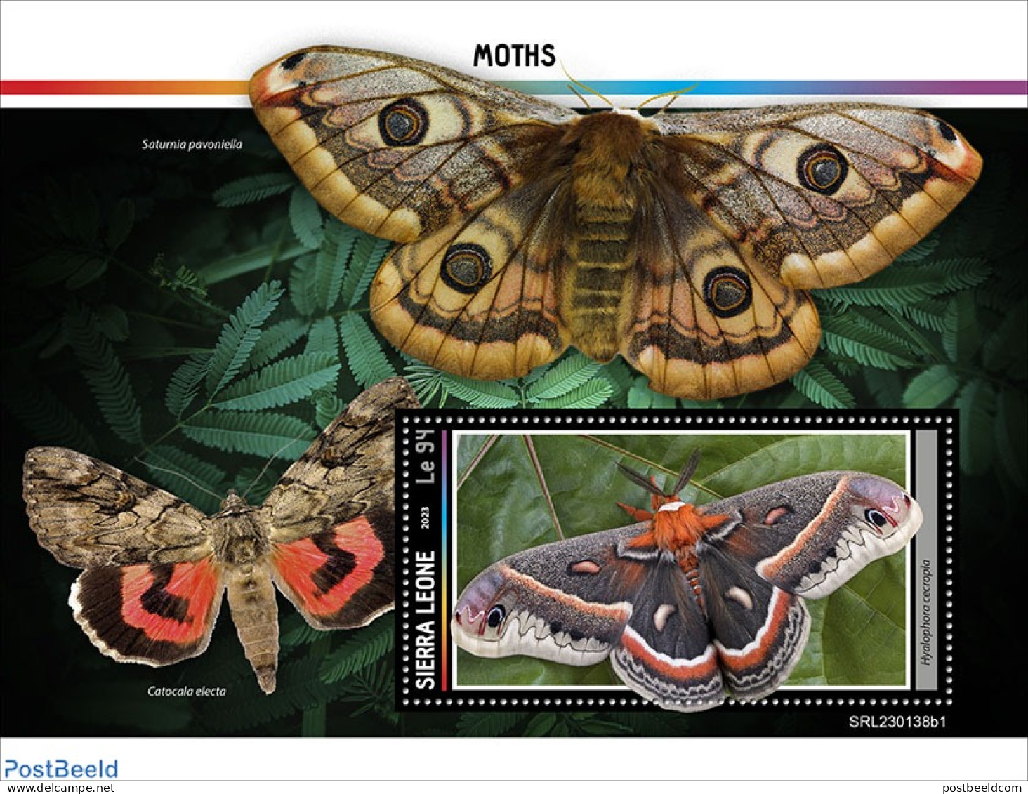 Sierra Leone 2023 Moths, Mint NH, Nature - Insects - Other & Unclassified