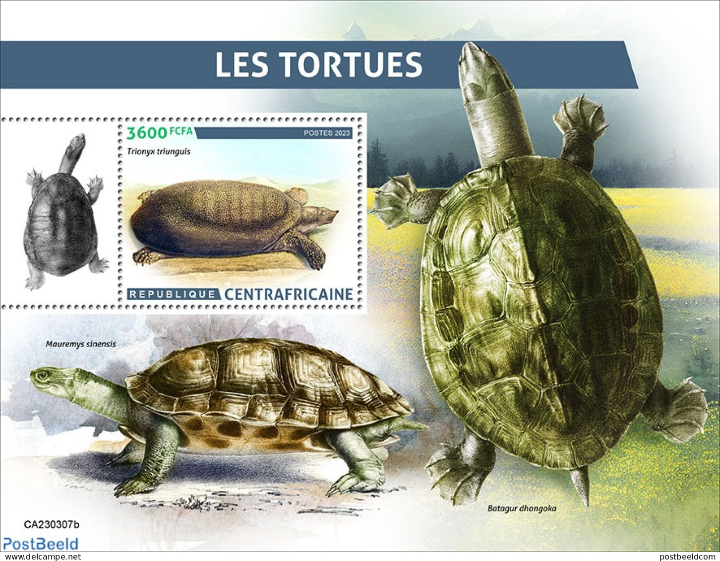 Central Africa 2023 Turtles, Mint NH, Nature - Turtles - Central African Republic