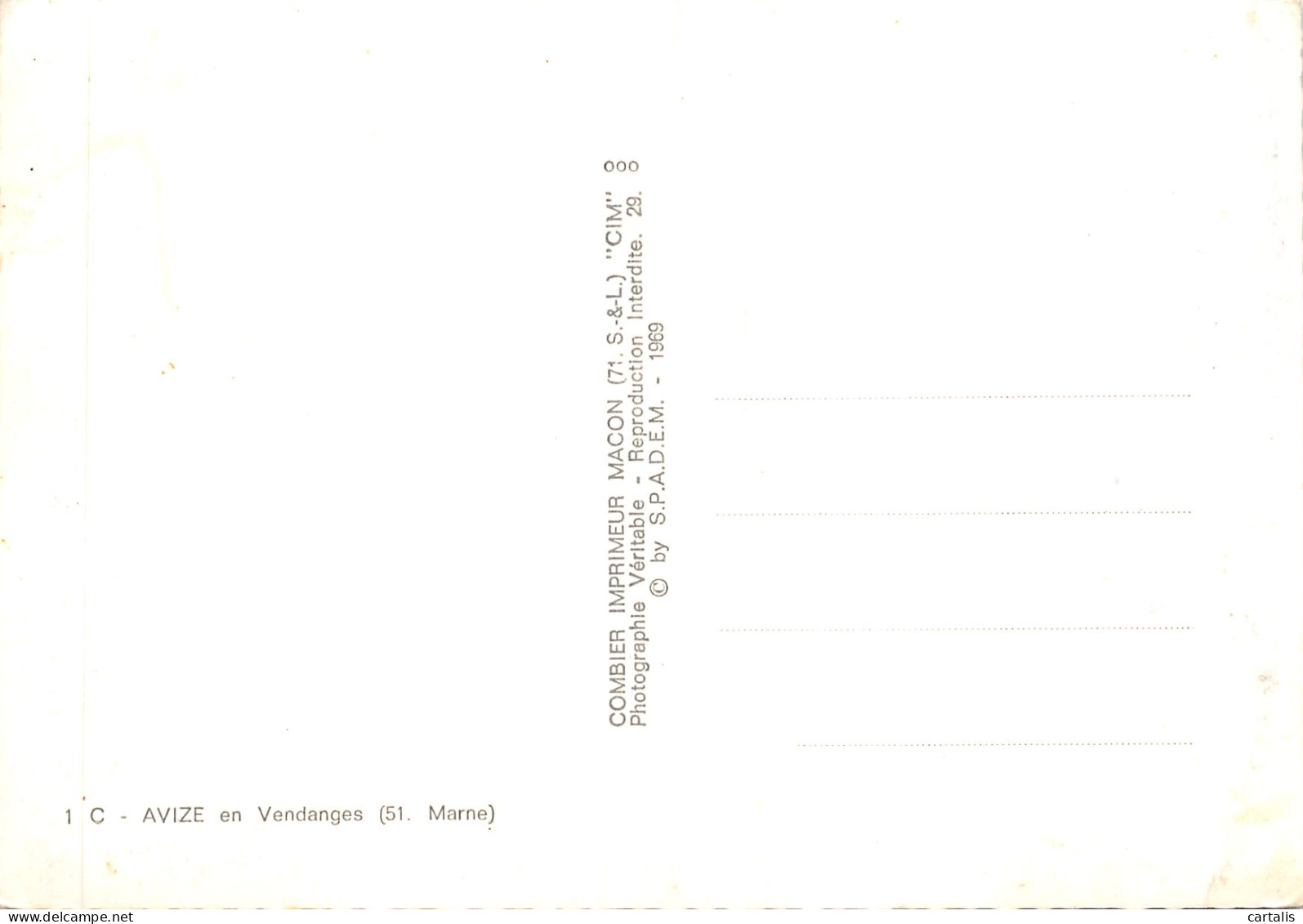 51-AVIZE-LES VENDANGES-N 601-C/0223 - Other & Unclassified