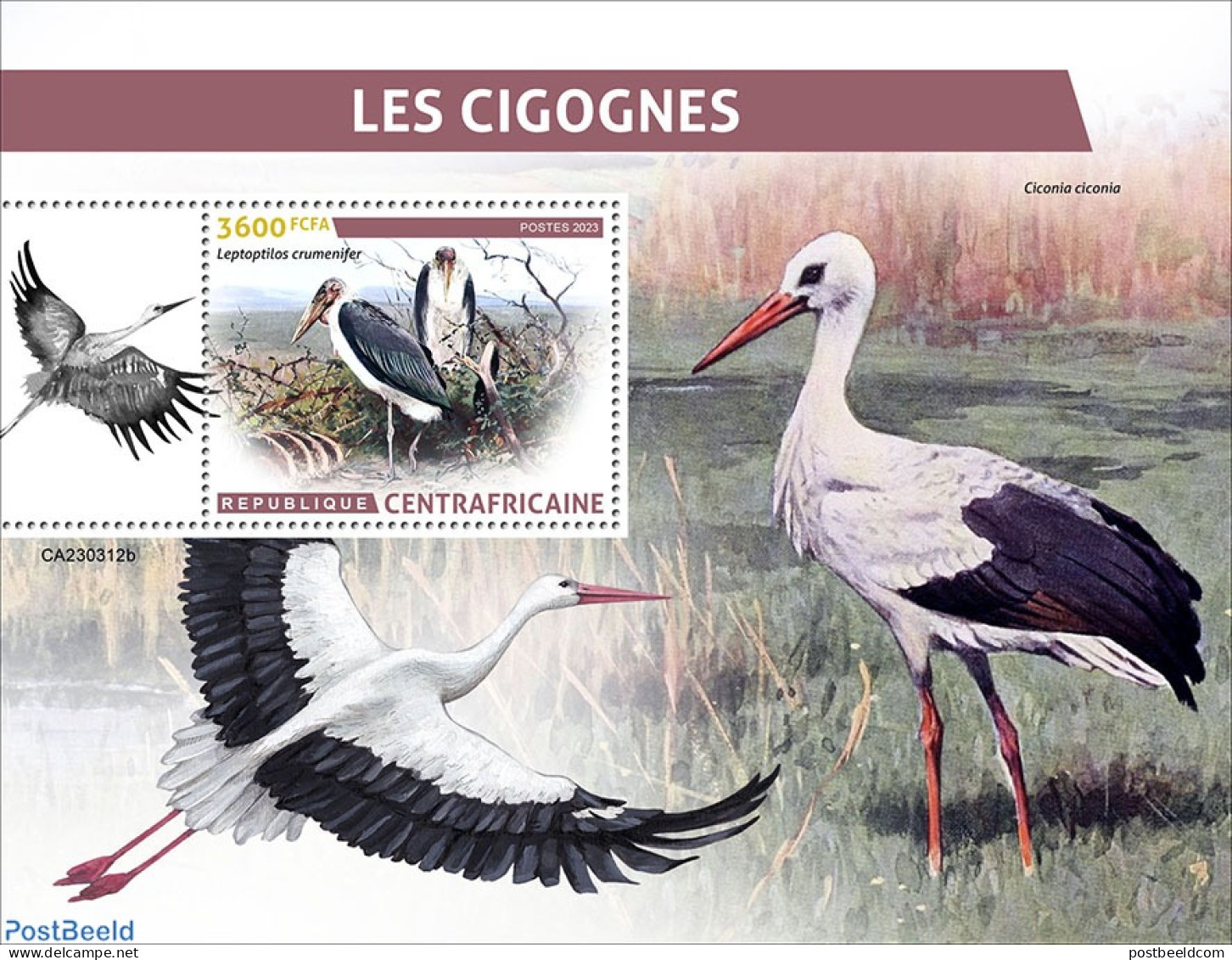 Central Africa 2023 Storks, Mint NH, Nature - Birds - Storks - Central African Republic