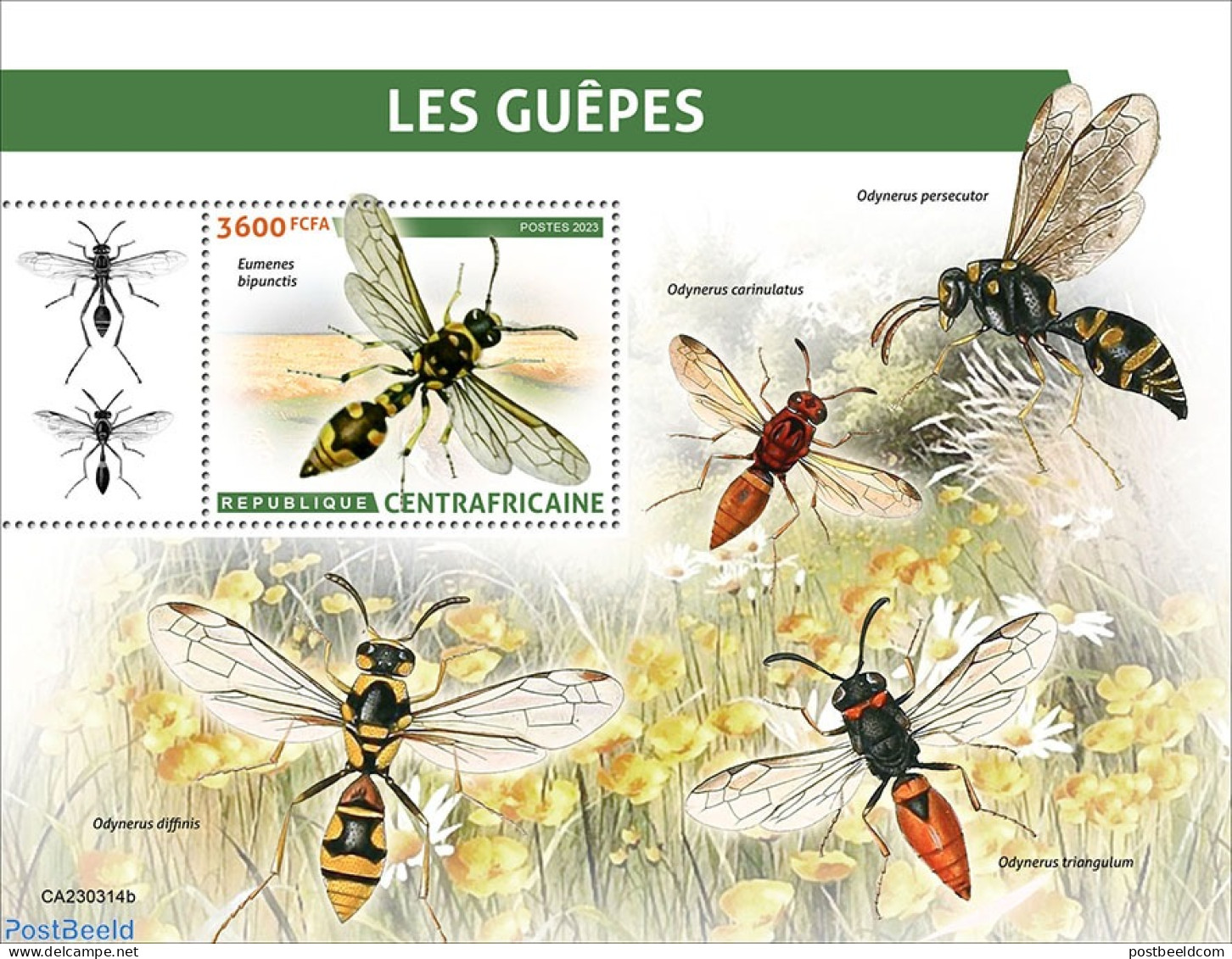 Central Africa 2023 Wasps, Mint NH, Nature - Flowers & Plants - Insects - Central African Republic