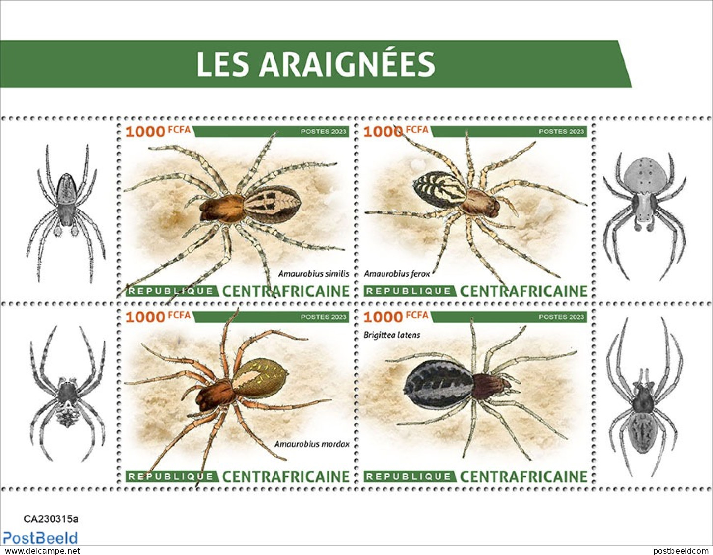 Central Africa 2023 Spiders, Mint NH, Nature - Insects - Central African Republic