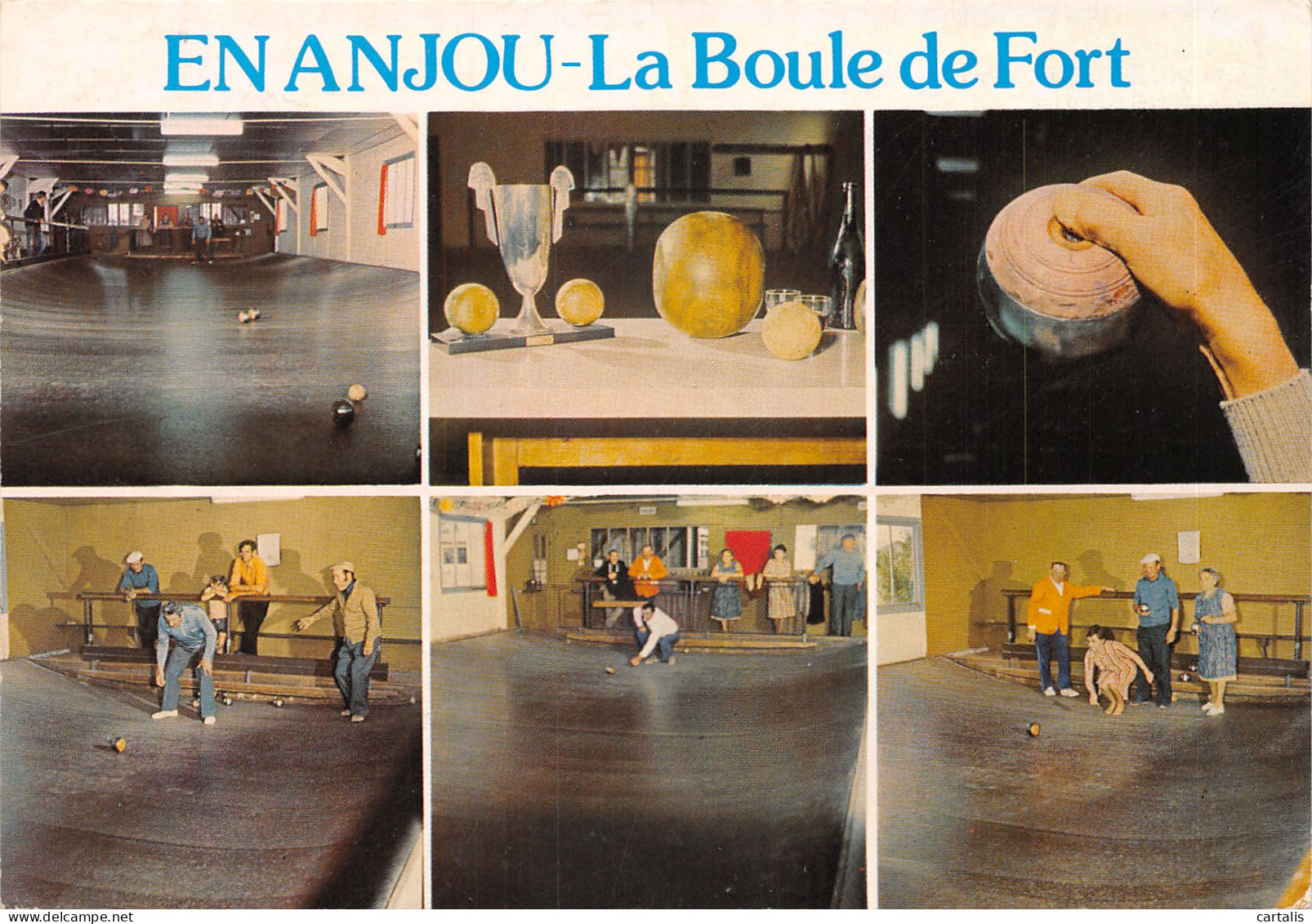 49-COTUMES D ANJOU-LA BOULE DE FORT-N 601-B/0097 - Other & Unclassified