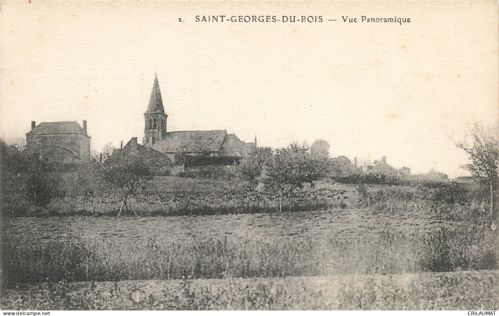 72-SAINT GEORGES DU BOIS-N°T5315-G/0287 - Other & Unclassified