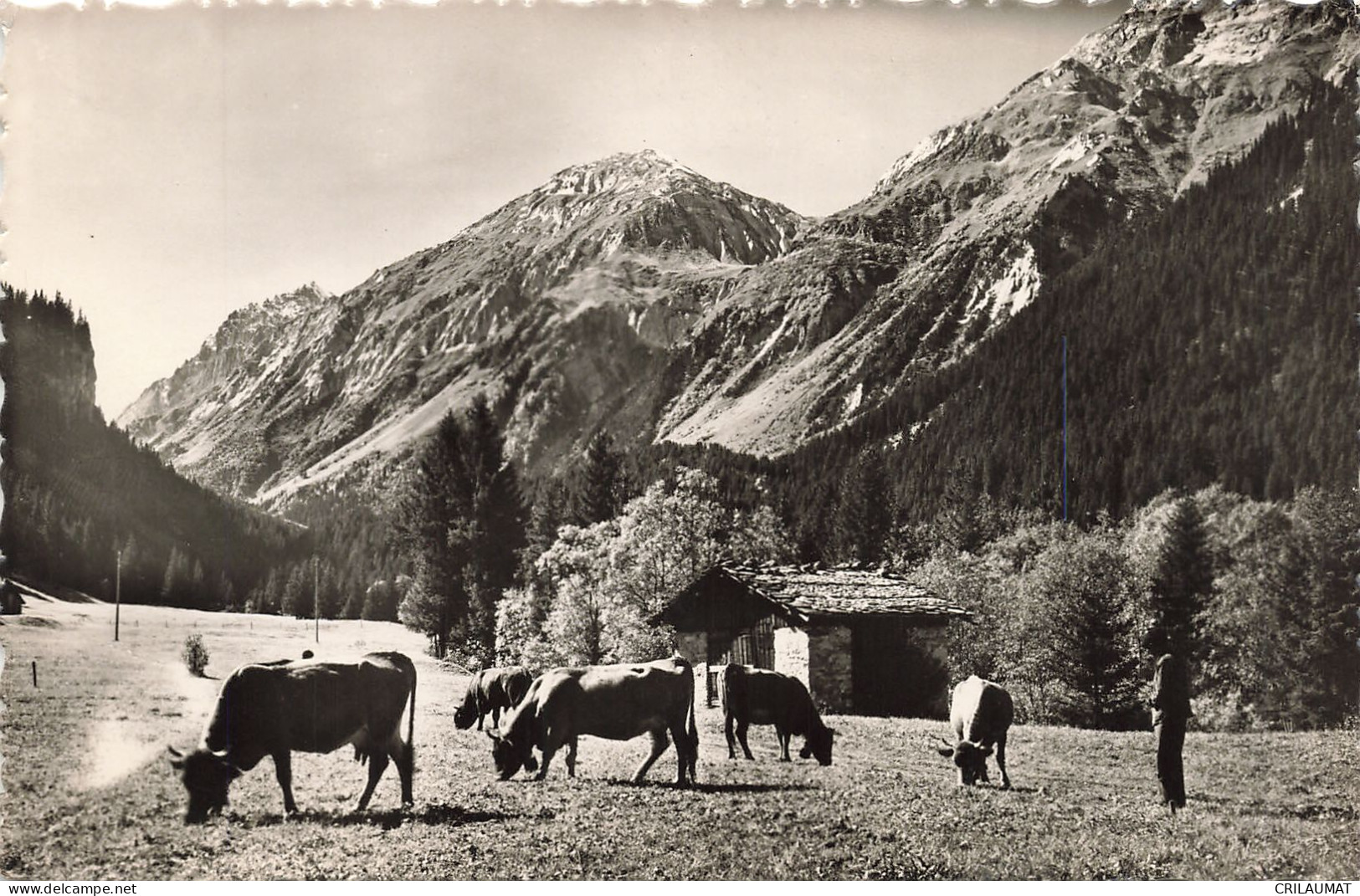 73-PRALOGNAN LA VANOISE-N°T5315-G/0257 - Pralognan-la-Vanoise