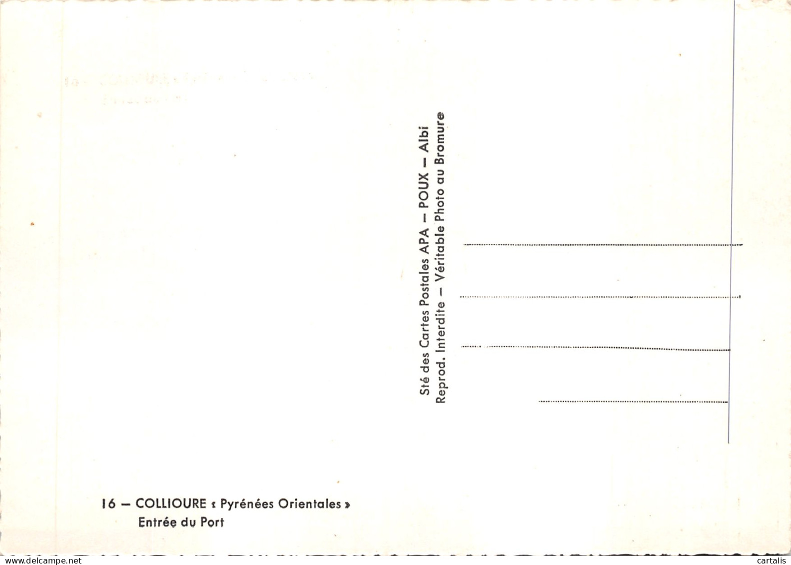 66-COLLIOURE-N 603-A/0281 - Collioure