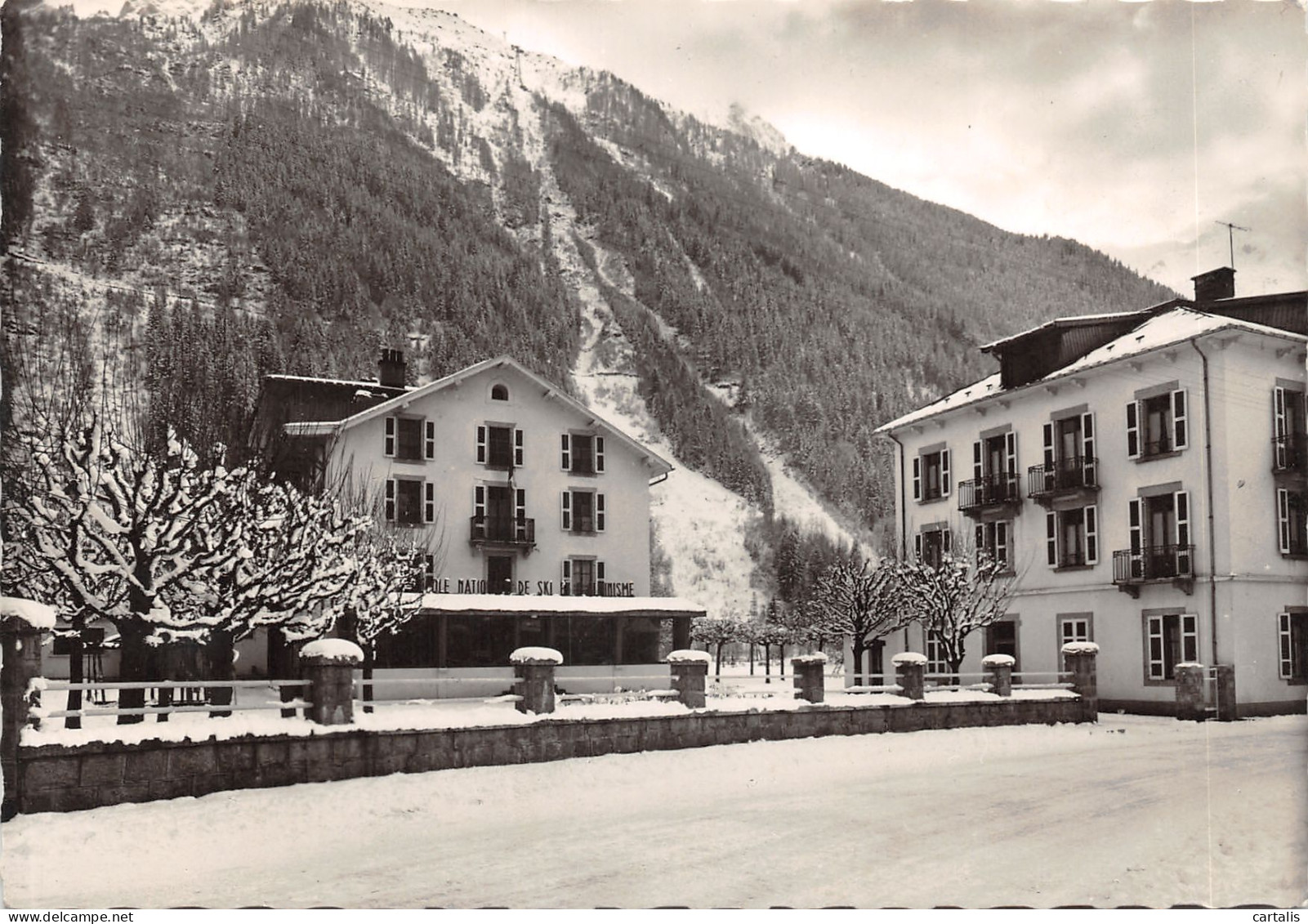 74-CHAMONIX-ECOLE NATIONALE DE SKI-N 604-A/0355 - Chamonix-Mont-Blanc