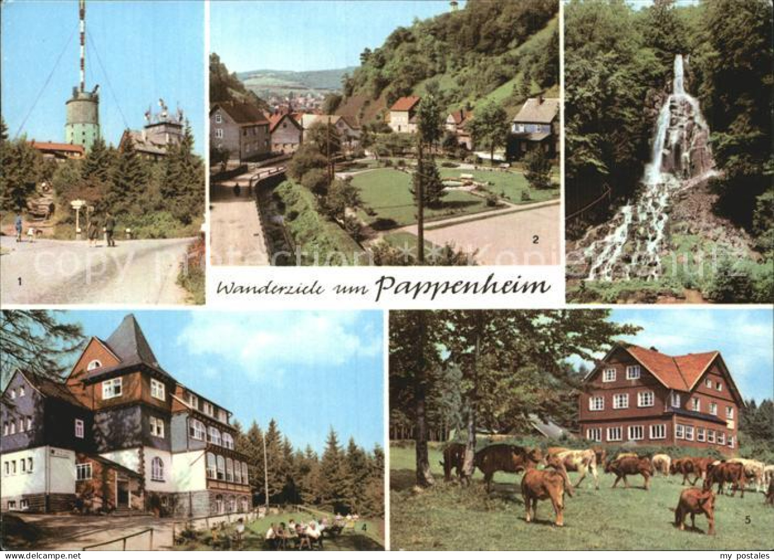 72514409 Pappenheim Thueringen Wanderziele Inselsberg Spiessberghaus Trusetaler- - Otros & Sin Clasificación