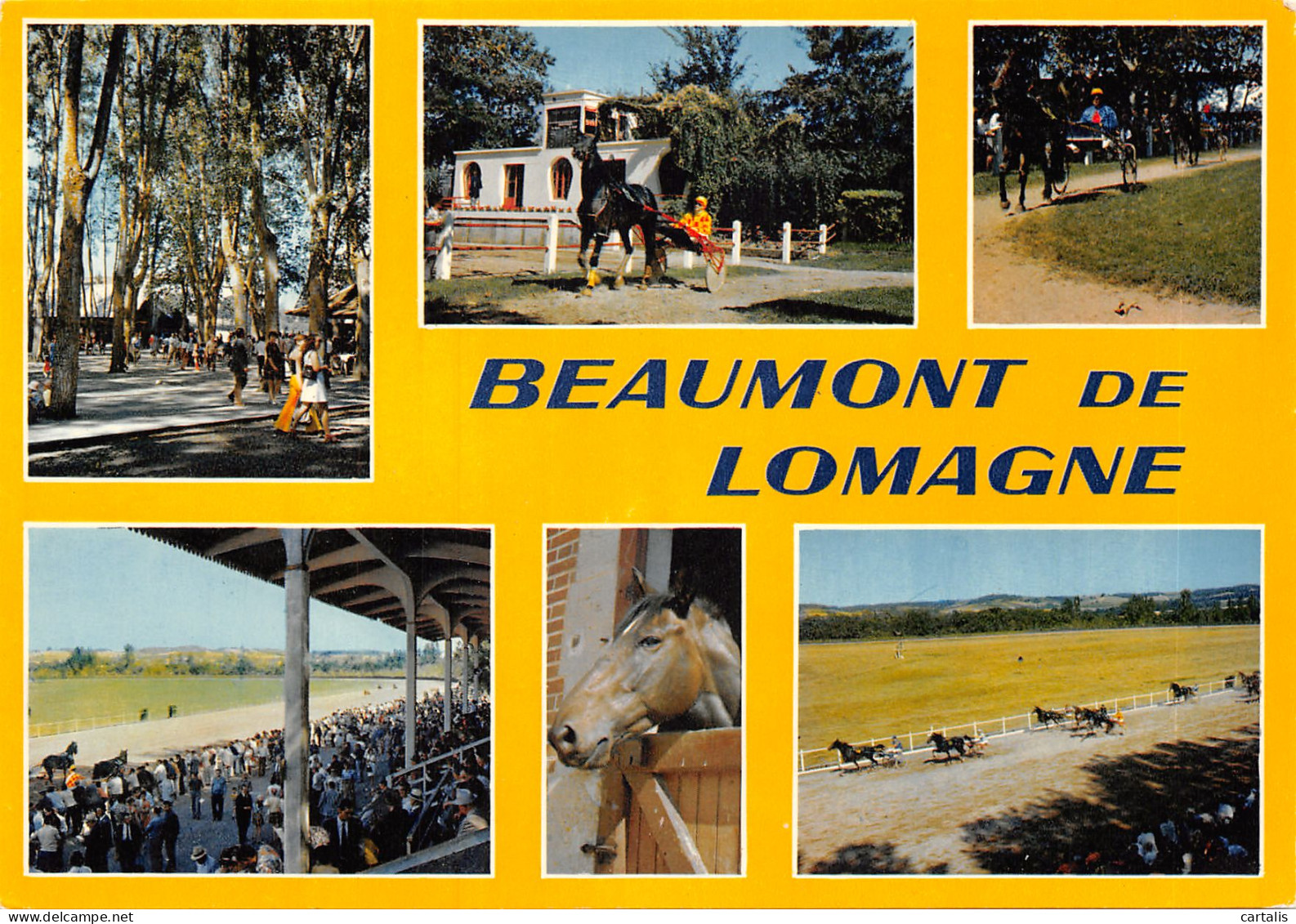 82-BEAUMONT DE LOMAGNE-N 605-A/0311 - Beaumont De Lomagne