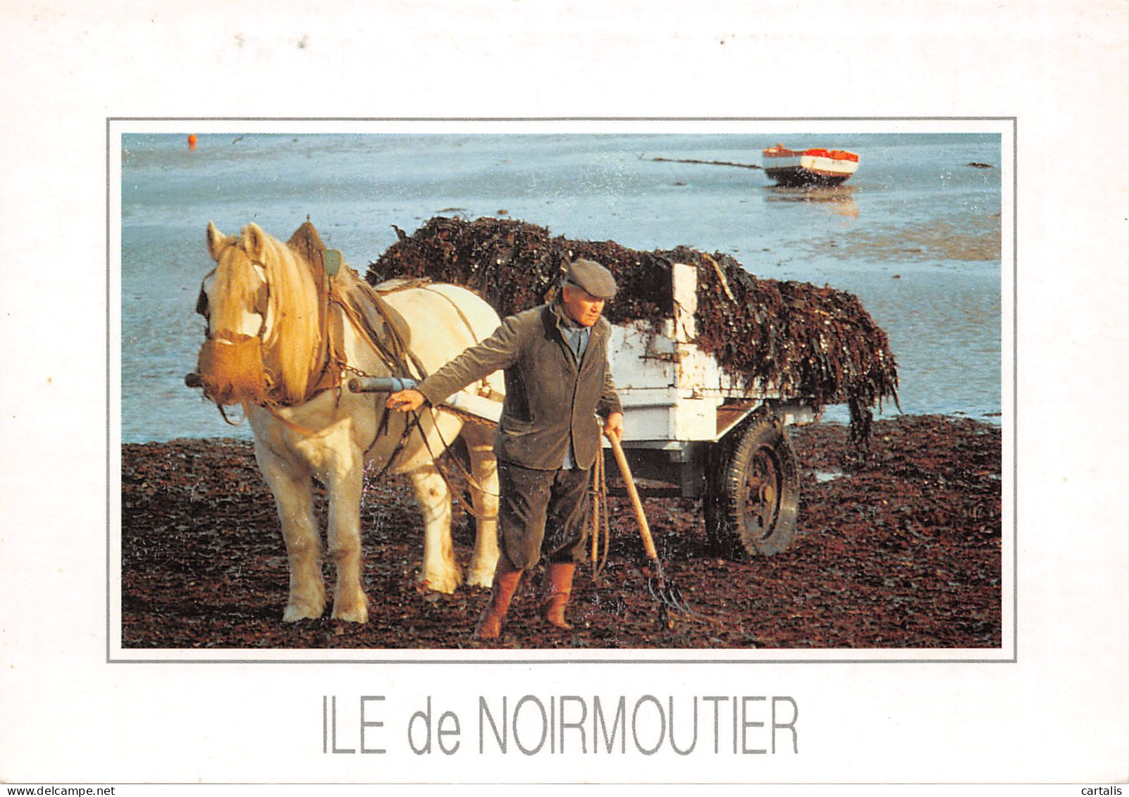 85-ILE DE NOIRMOUTIER-N 605-D/0299 - Ile De Noirmoutier