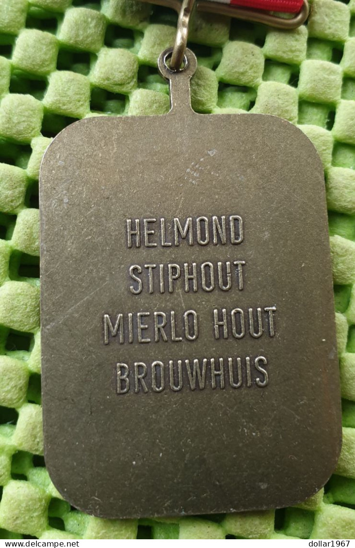 Medaile   :  Avondvierdaagse 1993 Helmond , Stiphout Mierlo -  Original Foto  !!  Medallion  Dutch . - Altri & Non Classificati