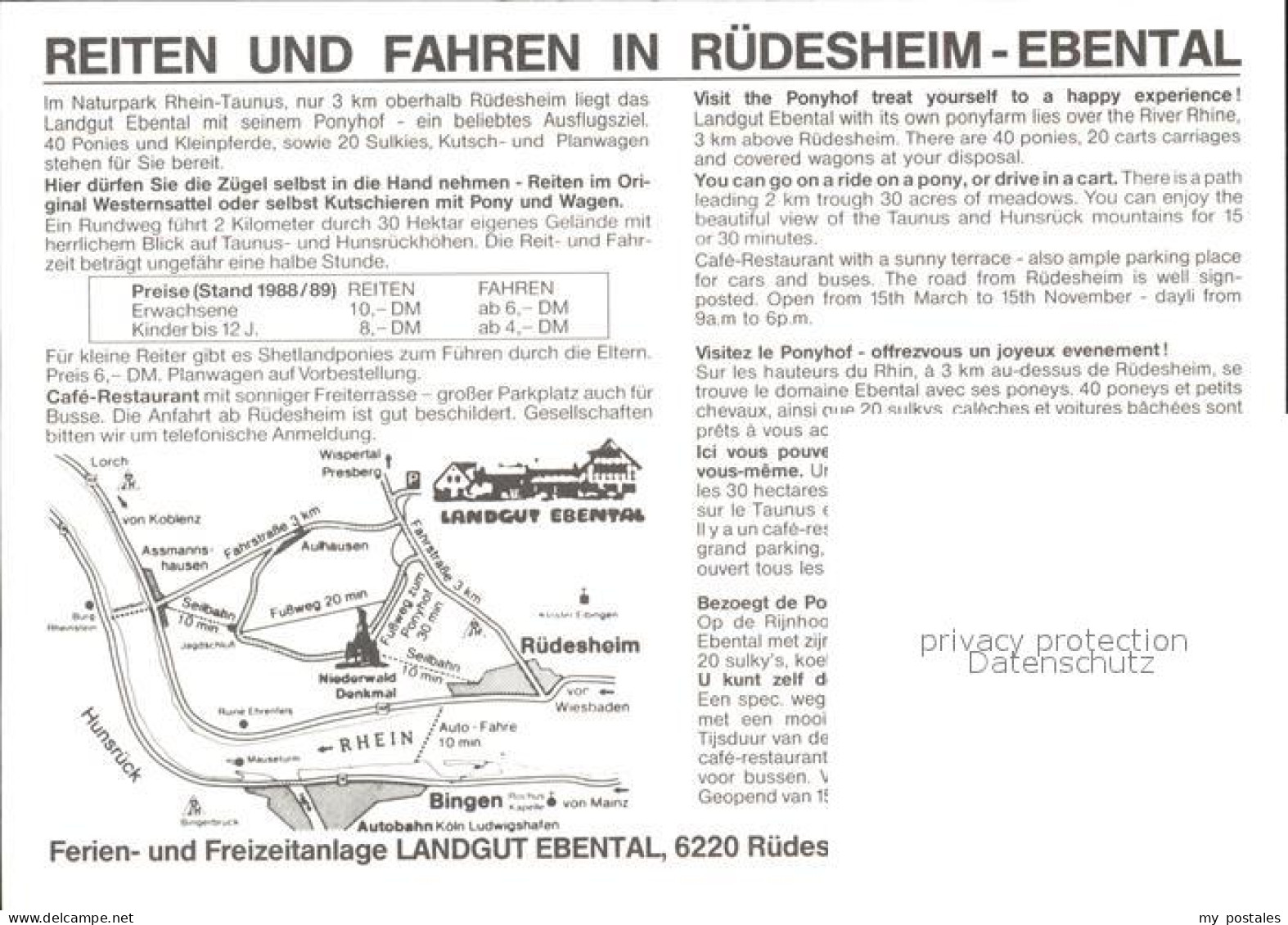 72513875 Ruedesheim Rhein Landgut Ebental Reiten Und Fahren Ruedesheim  - Ruedesheim A. Rh.