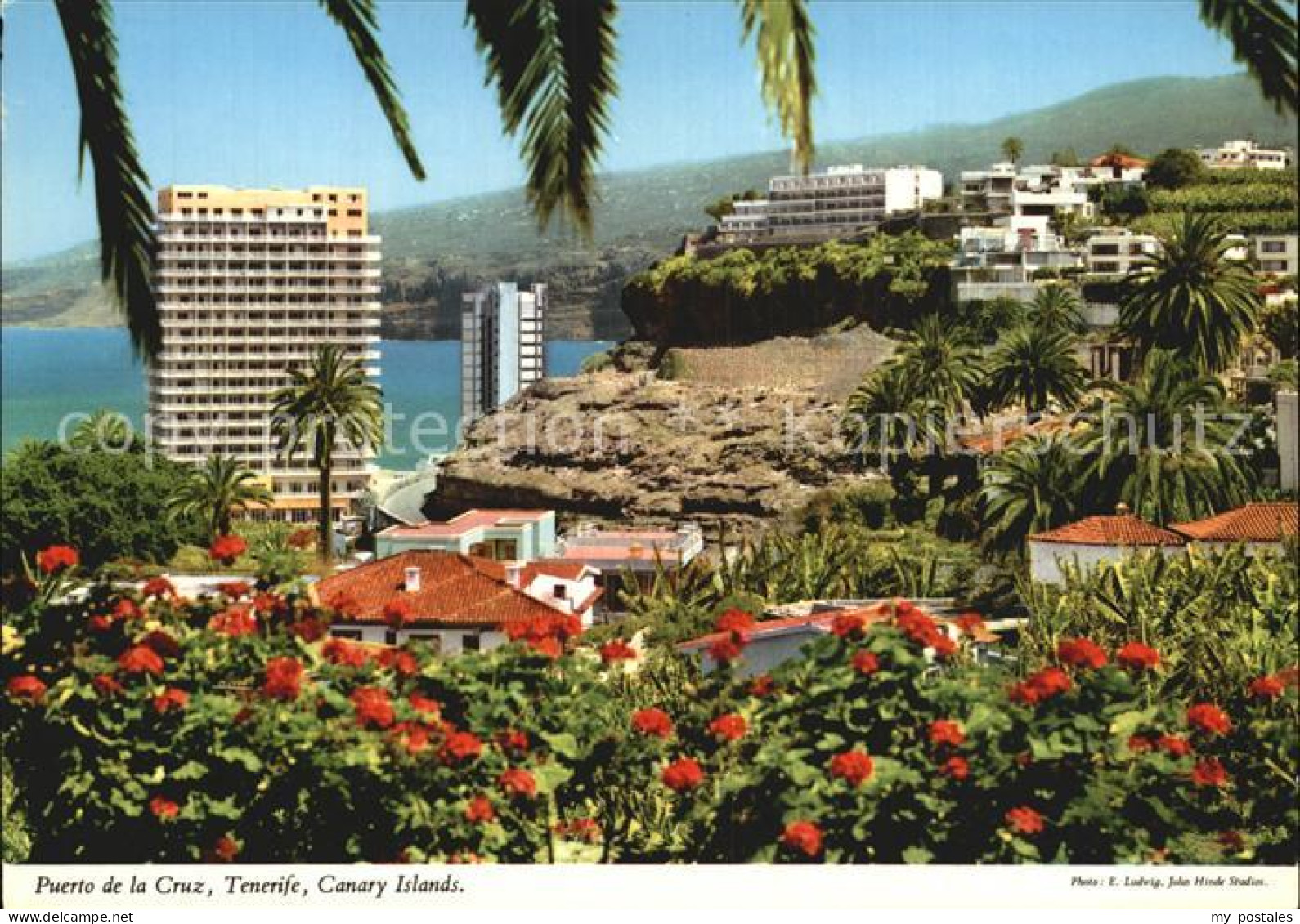 72513746 Puerto De La Cruz Panorama Hotels  - Other & Unclassified