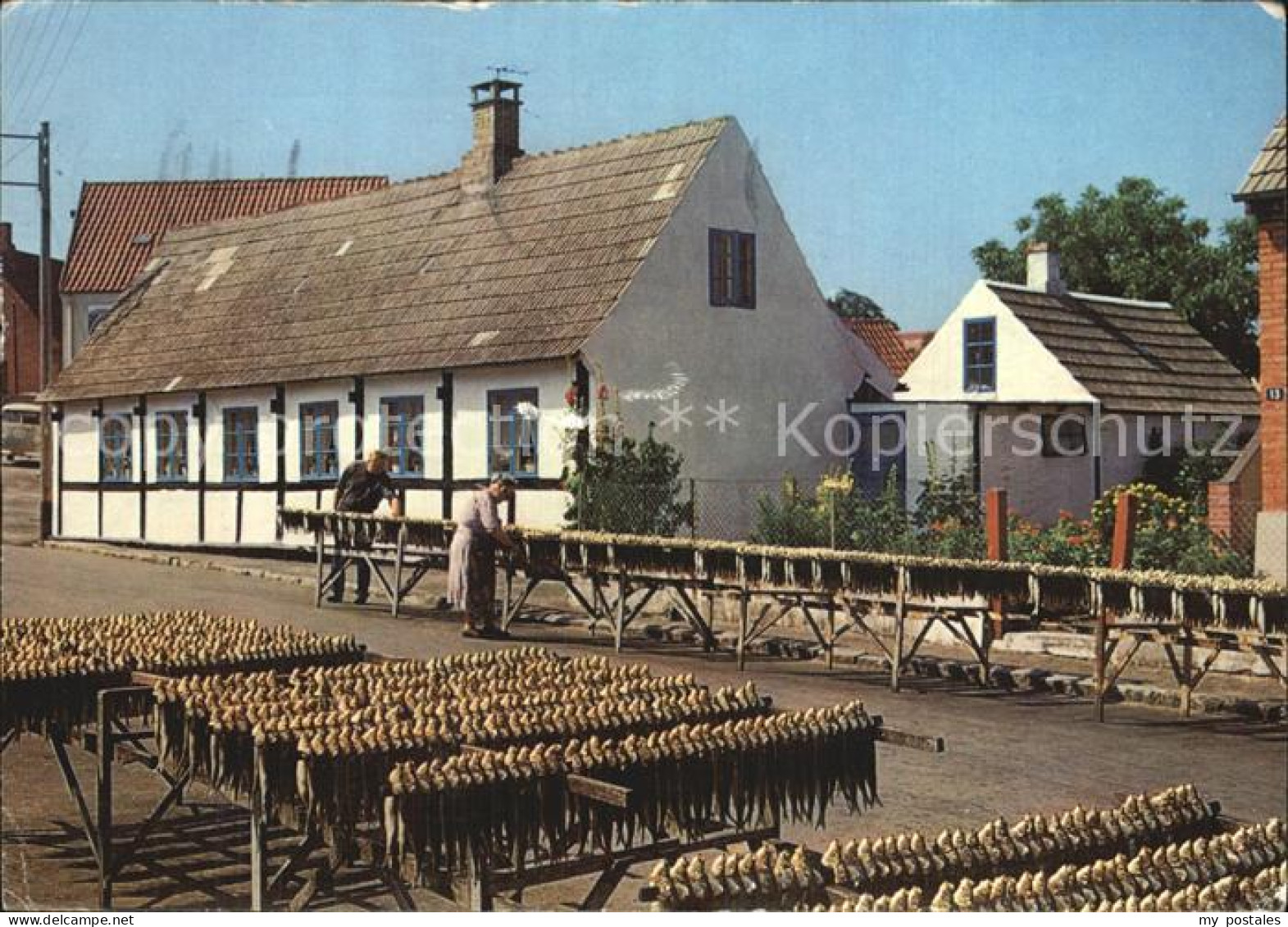 72513194 Ronne Stockfische Auf Trockengestellen Ronne - Danemark