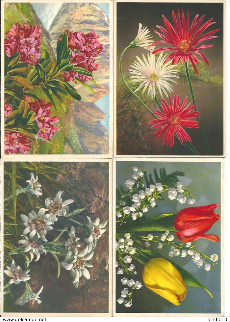 4 Alte Blumenkarten    (5) - Blumen