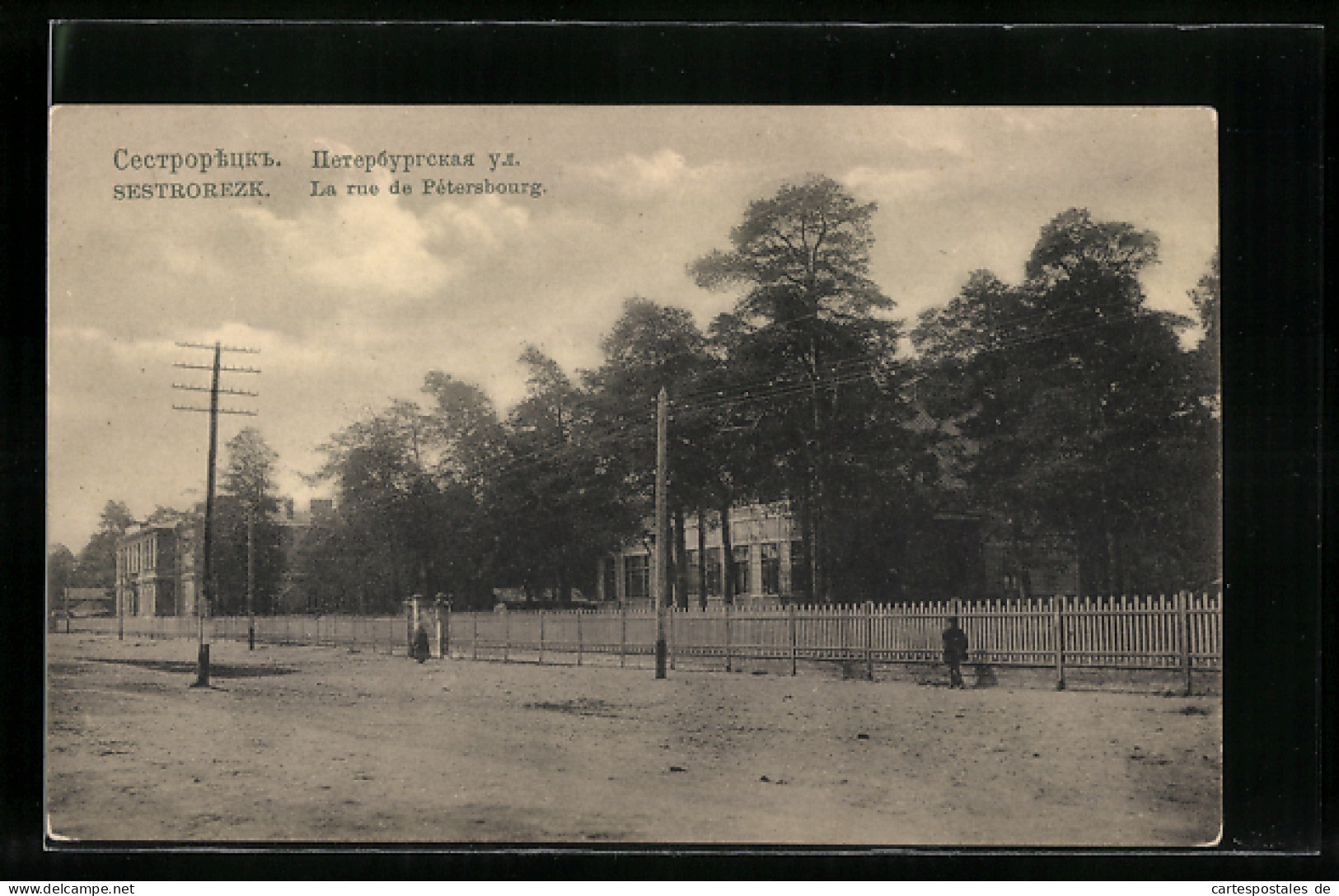 AK Sestrorezk, La Rue De Petersbourg  - Rusland