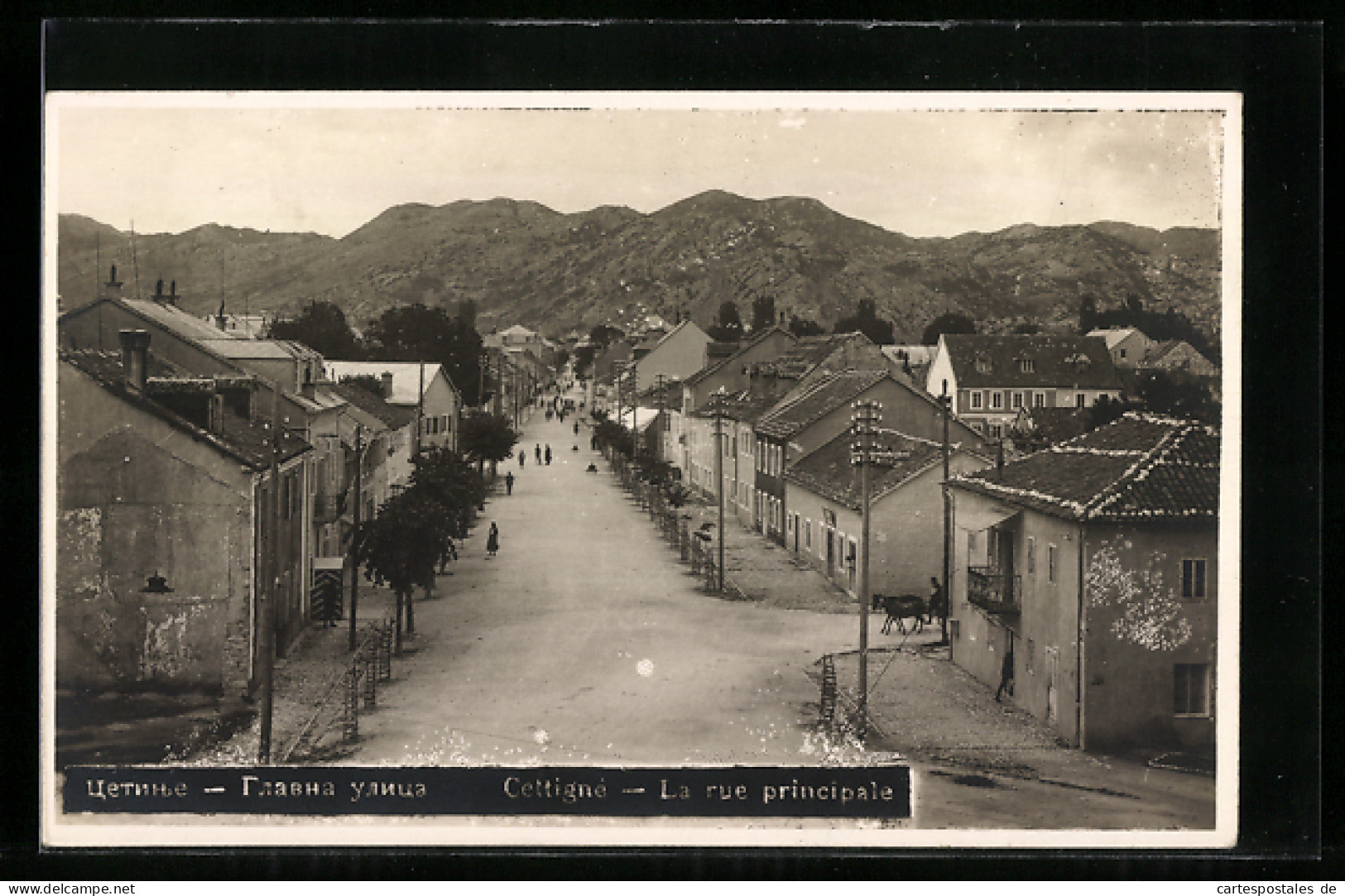 AK Cettigne, La Rue Principale  - Montenegro