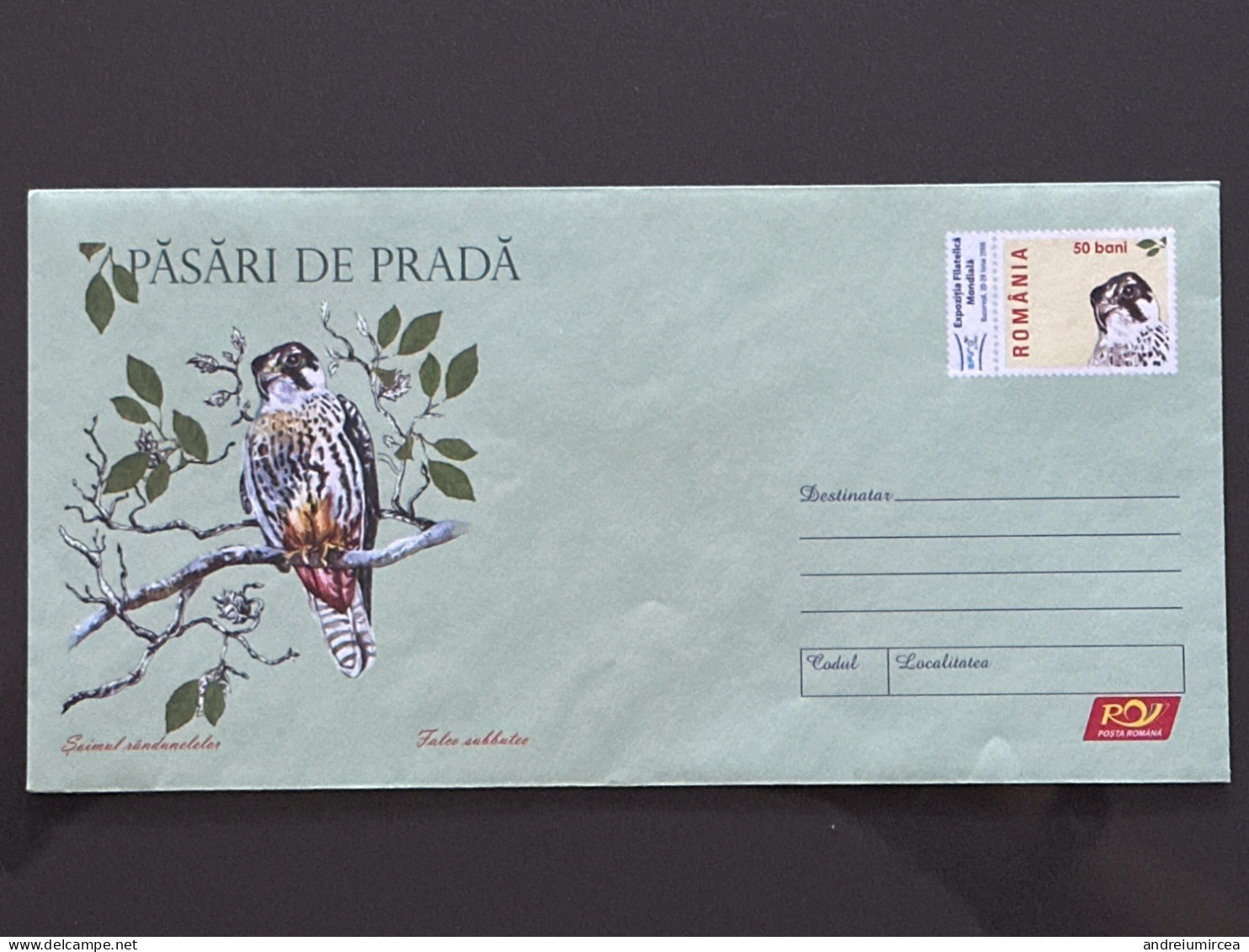 Cod 029/2007 Păsări De Pradă Șoimul Rândunelelor - Postal Stationery
