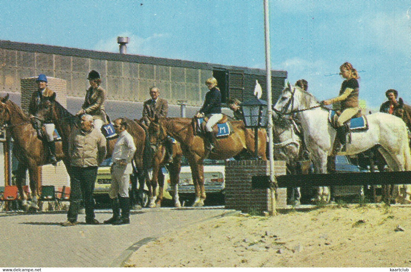 Noordwijk Aan Zee: DAF 55, CITROËN GS, OPEL KAPITÄN, VW 1200 KÄFER/COX - Manage Meeuwenoord, Paarden/Horses - (Holland) - Toerisme