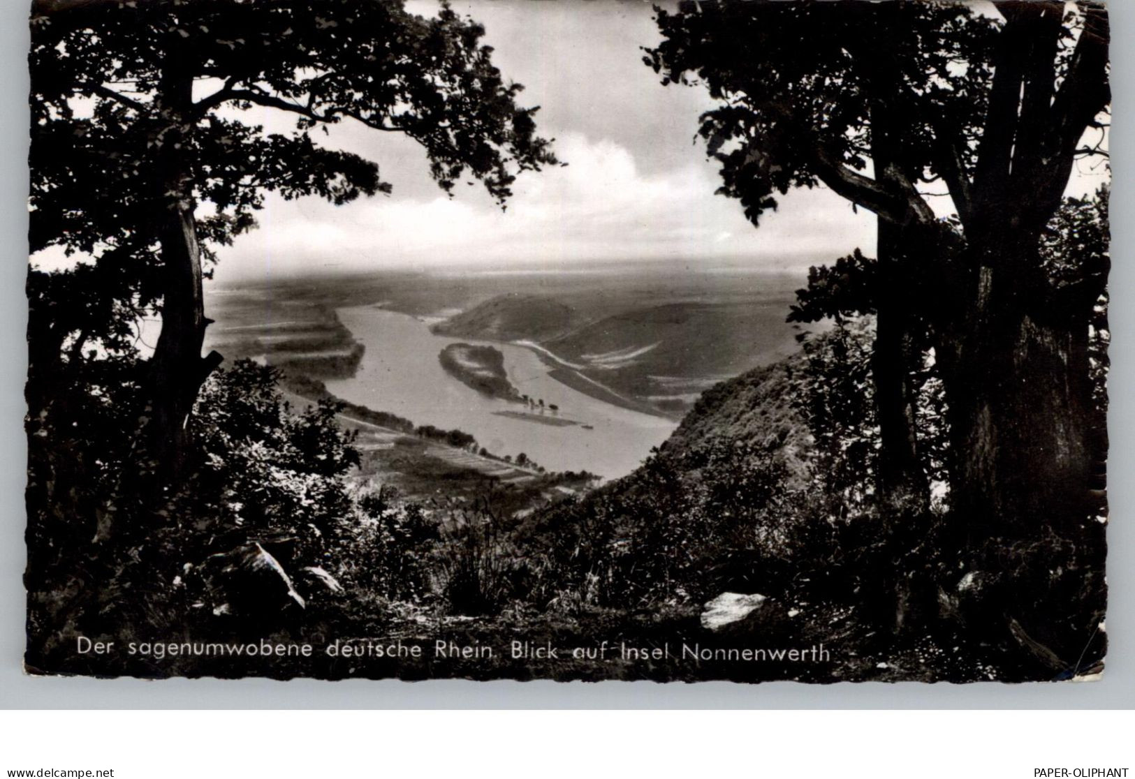 5330 KÖNIGSWINTER, Blick Vom Drachenfels Auf Nonnenwerth, 1964, Ungewöhnliche Ansicht - Koenigswinter